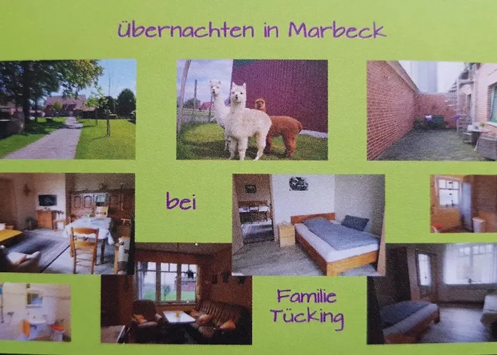 Lejlighed Alte Werkstatt - Monteurwohnung Auf Dem Land Borken (North Rhine-Westphalia)